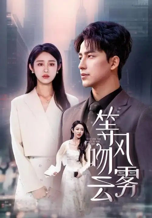 财阀家的小女儿 韩国复仇剧海报