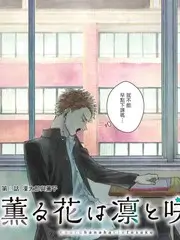 日韩综艺拍摄模式资讯配图